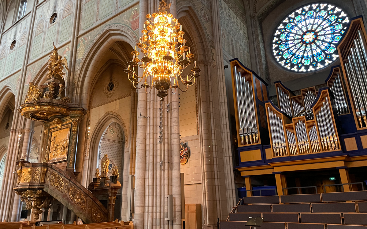 \"Organ